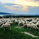 Stylchyn Hébergement de vacances
